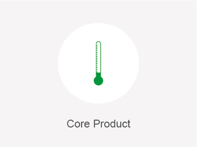 Core Product